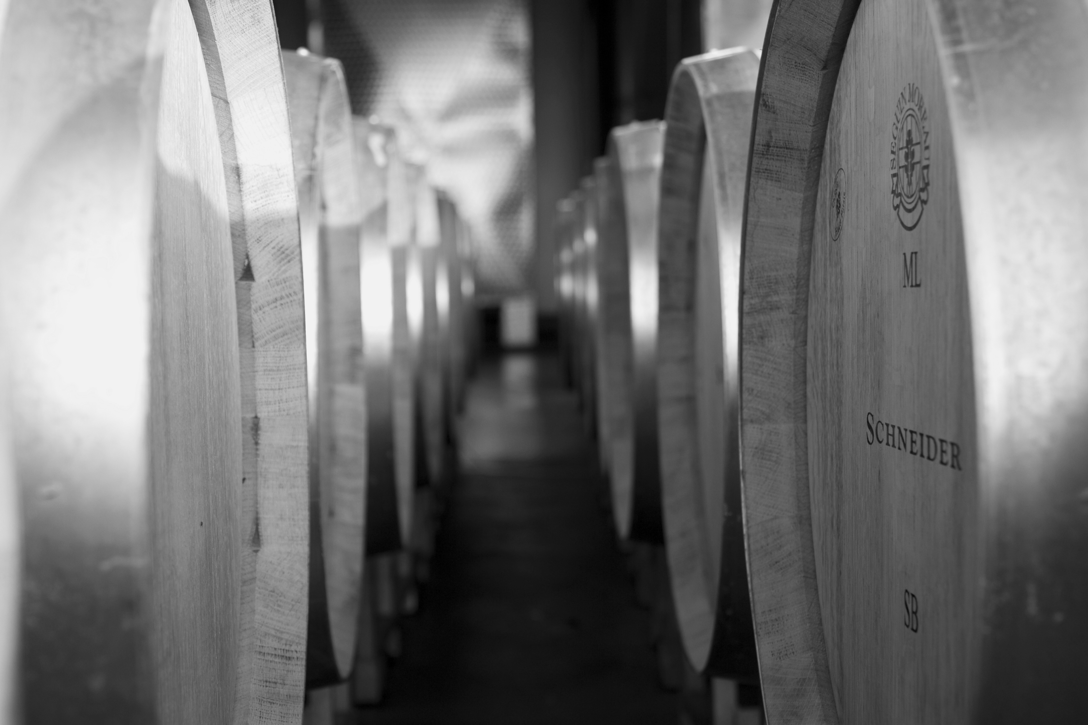 Schneider Fässer