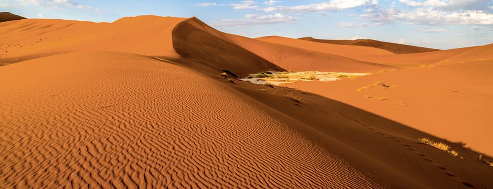 Namib_Desert Layout 7 Fein.indd