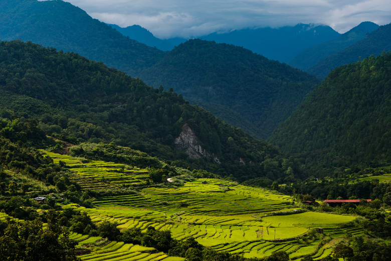 uma-punakha-experiences-view-from-como-shambhala-retreat-building